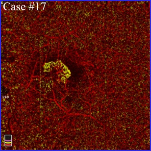 AMD-color-overlay-304